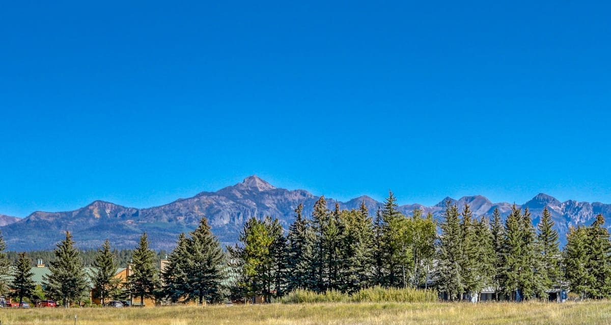 San Juan Mountains above a Pagosa Springs meadow